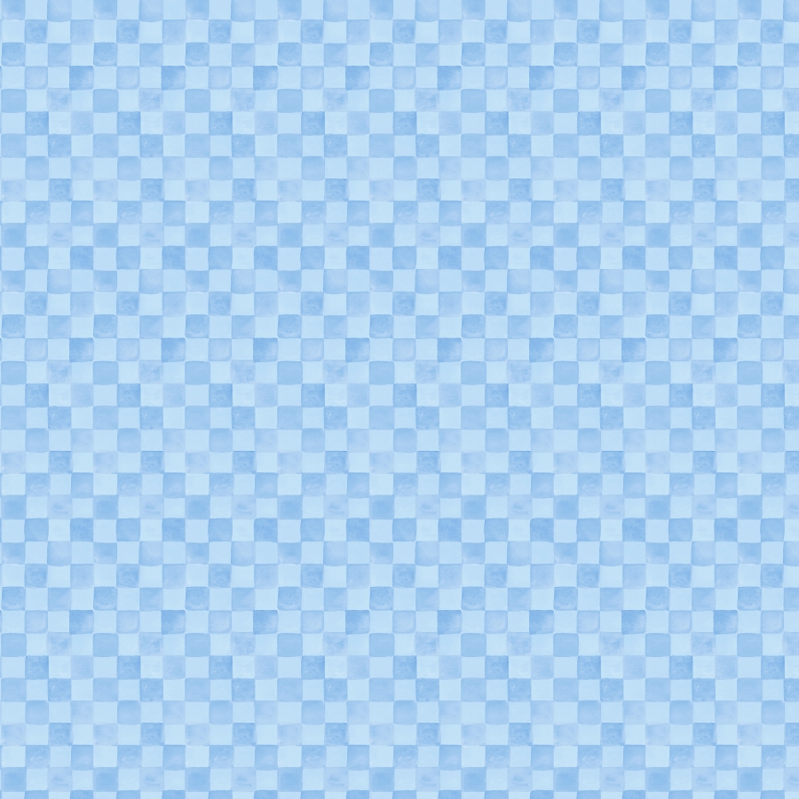 CSHO 6451 BLUEBERRY